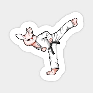 Cartoon Hase doing Hapkido Magnet