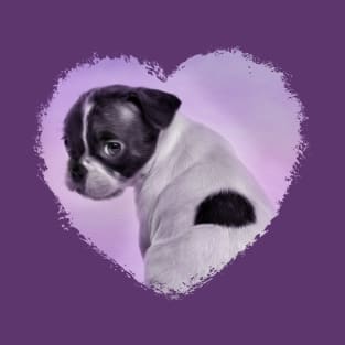 Boston Terrier Puppy T-Shirt