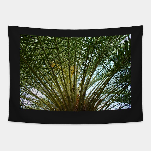 Aitutaki Palm Fronds Tapestry by KaSaPo