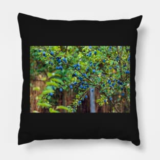 Plum tree in an orchard Pillow