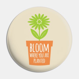 Bloom Where You Are Planted Pin