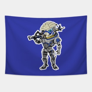 The Turian Tapestry