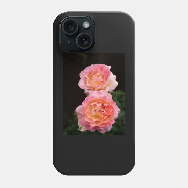 Pink rachel two rose flowers in bloom Phone Case by fantastic-designs