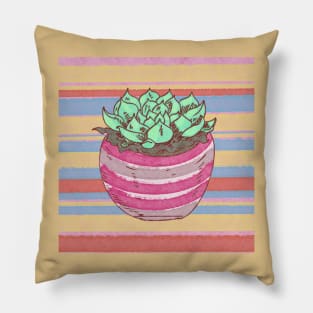 Southwestern Succulent Pillow