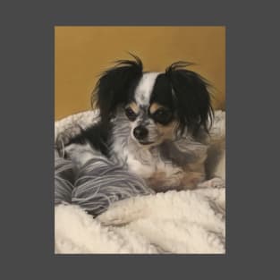 Long hair Chihuahua T-Shirt