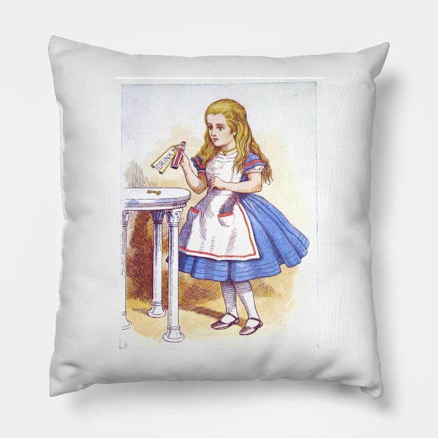 Alice in Wonderland Pillow by tfortwo