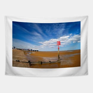 Cleethorpes Pier Tapestry