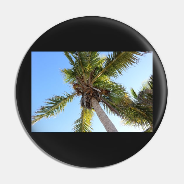 Florida Coconut Palm Pin by somekindofguru