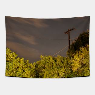 Night Lines and Treetops Tapestry