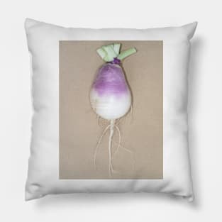 Freshly harvested turnip (Brassica rapa subsp. rapa) taproot Pillow