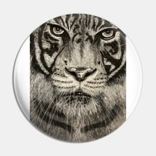 Tiger sketch Pin