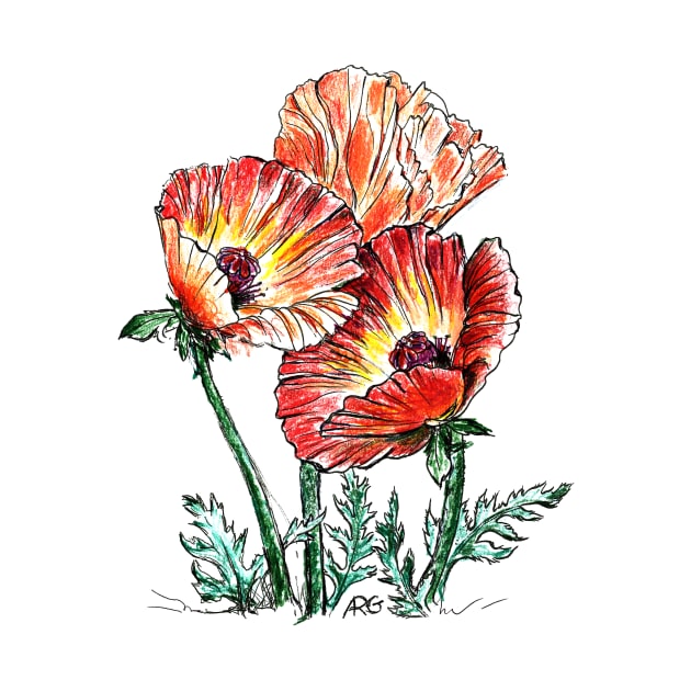 Grandma's Memorial Day Poppies by ShiningLightGallery