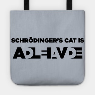 Schrodinger experiment Tote