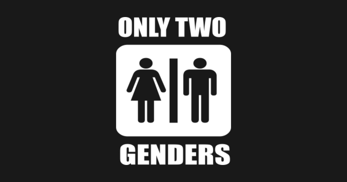 Only Two Genders Conservative T Shirt Teepublic 