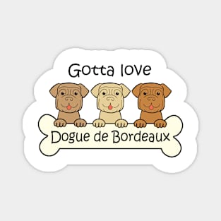 Gotta Love Dogue de Bordeaux Magnet