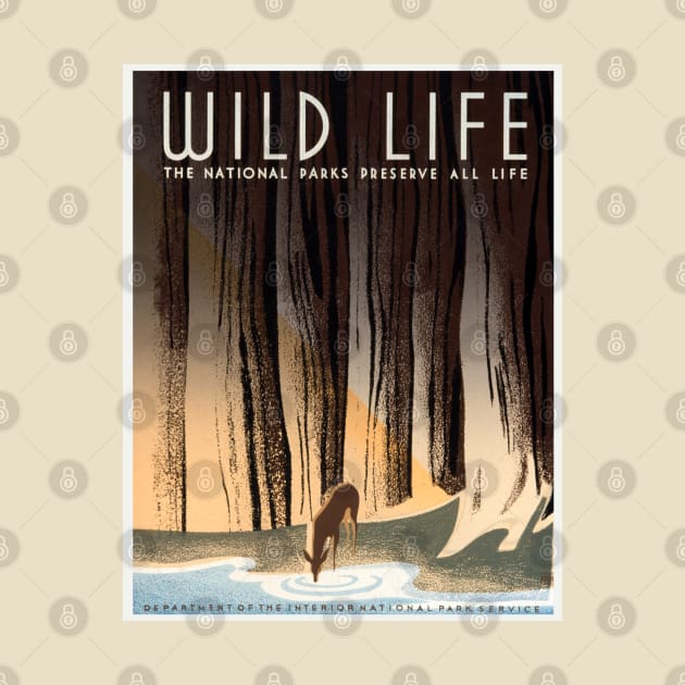 Restored USA Dept of the Interior and National Park Service Wildlife Preservation Poster by vintageposterco