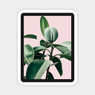 Leaves, Pink, Tropical leaves, Leaf, Modern art, Wall art, Print, Minimalistic, Modern, Scandinavian print Magnet