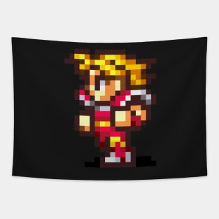 FF Warrior Tapestry