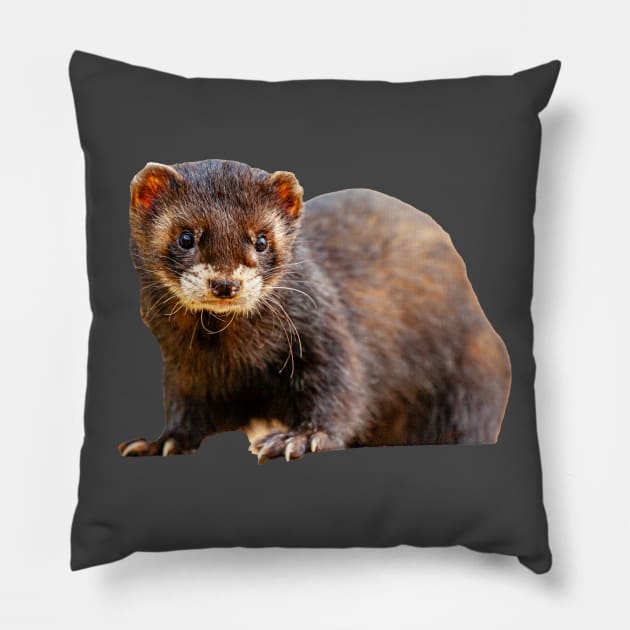 Just Ferreting around Pillow by dalyndigaital2@gmail.com