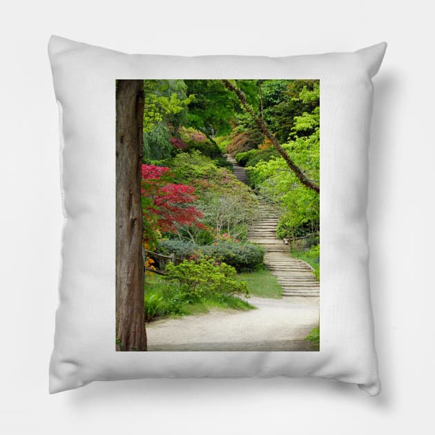 Steps on a footpath Pillow by pinkal