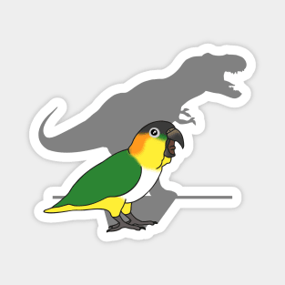 t-rex black headed caique Magnet