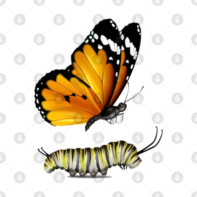 Butterfly and  caterpillar by TheDesigNook