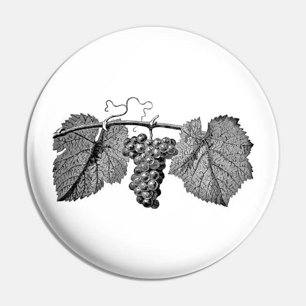 Grapes Pin by BeragonRe