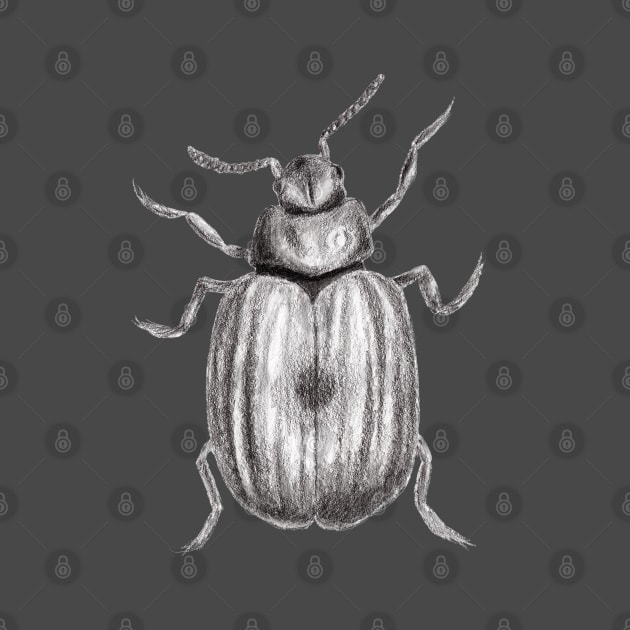 Realistic Beetle Bug Pencil Drawing by IvyLilyArt