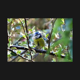 Blue Tit in the garden T-Shirt