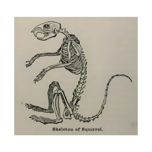 Skeleton of Squirrel - Vintage 1921 Animal Illustration T-Shirt