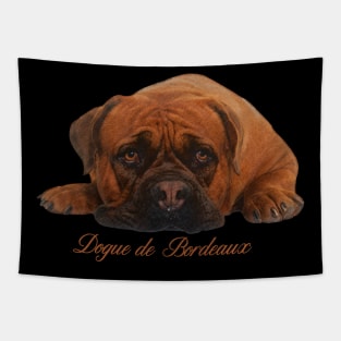 Dogue de Bordeaux Tapestry