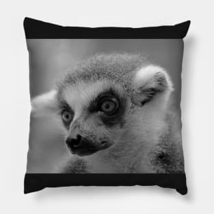 Ring-Tailed Lemur Pillow