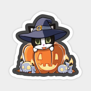 tuxedo cat in a pumpkin Magnet