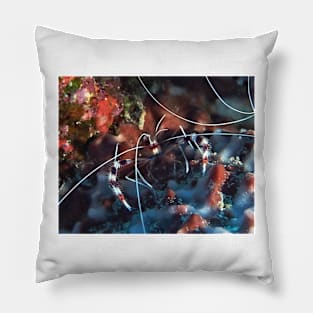 Banded Coral Shrimp at night Pillow