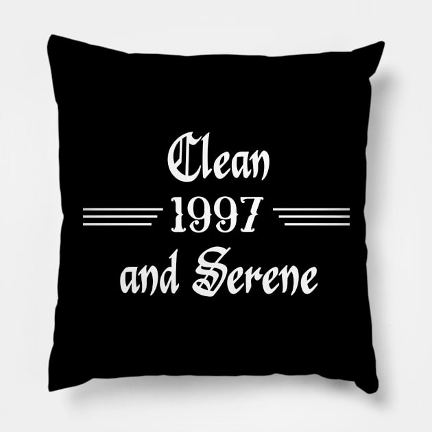 Clean and Serene 1997 Pillow by JodyzDesigns