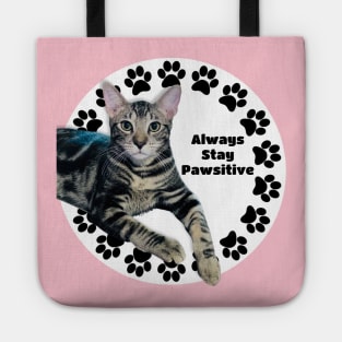 Always Stay Positive Grey Cat Tote