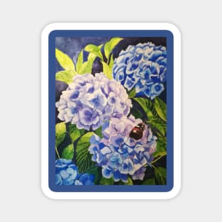 Blue hydrangeas watercolour painting Magnet