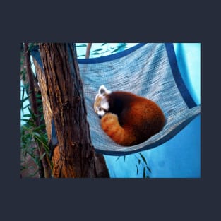 Sleepy Redpanda T-Shirt