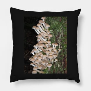 Lots of honey mushrooms (Armillaria sp.) Pillow