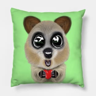 Big-Eyed Quokka With A Red Heart Pillow