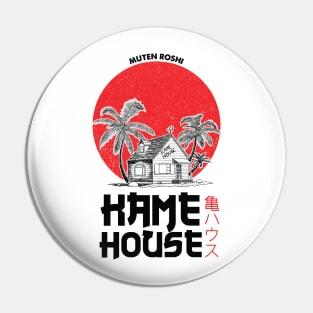 Muten Roshi  Kame House Fanart Pin