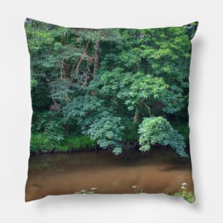 River Almond Pillow