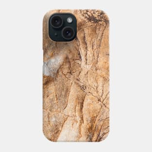 Orange Stained Stone Surface Texture Phone Case