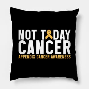 Appendix Cancer Awareness Not Today Cancer Pillow