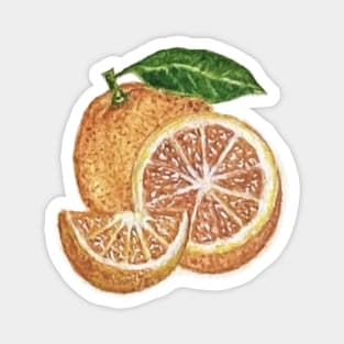 Oranges Magnet