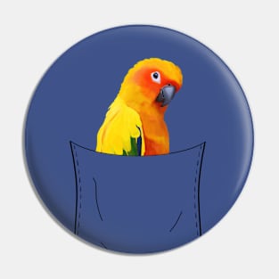 Sun Conure Parrot Pocket Pet Pin