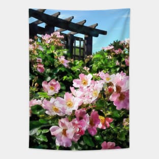 Pink Roses Near Trellis Tapestry