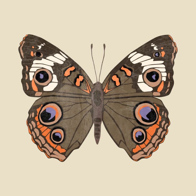 Buckeye Butterfly by emilywayland