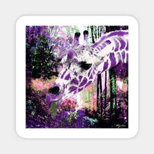 GIRAFFE ENCOUNTER IN PURPLE VIOLET AND WHITE Magnet