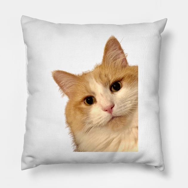 Simba The Ginger , The Look Pillow by rconyard